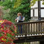 Sommer in Tübingen