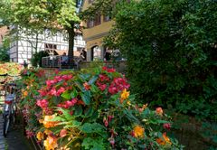 Sommer in Tübingen (5)