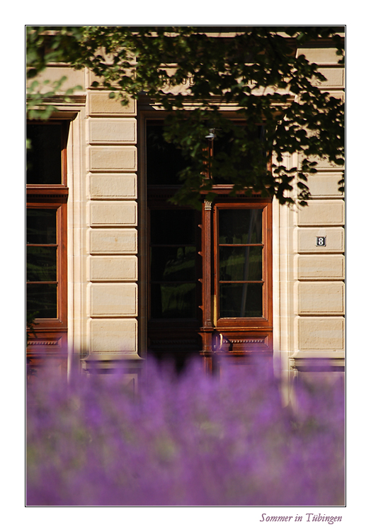 Sommer in Tübingen