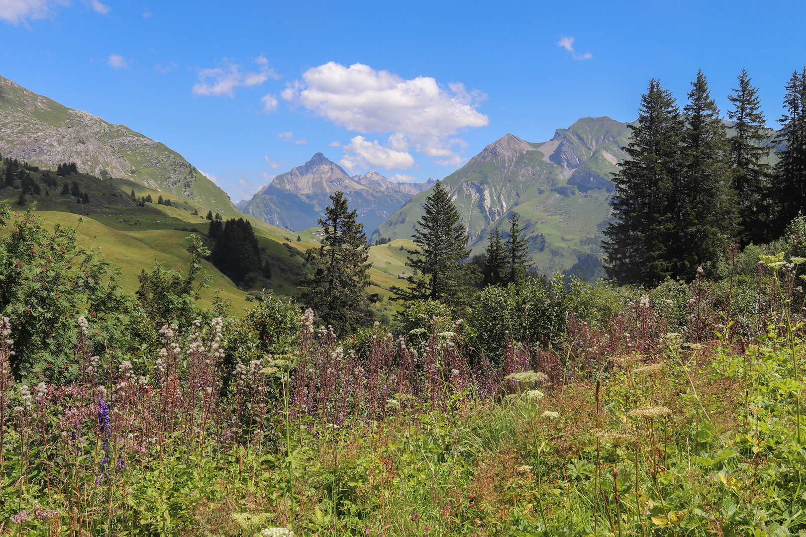 Sommer in unseren Bergen