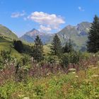 Sommer in unseren Bergen