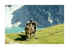 Sommer in Vorarlberg