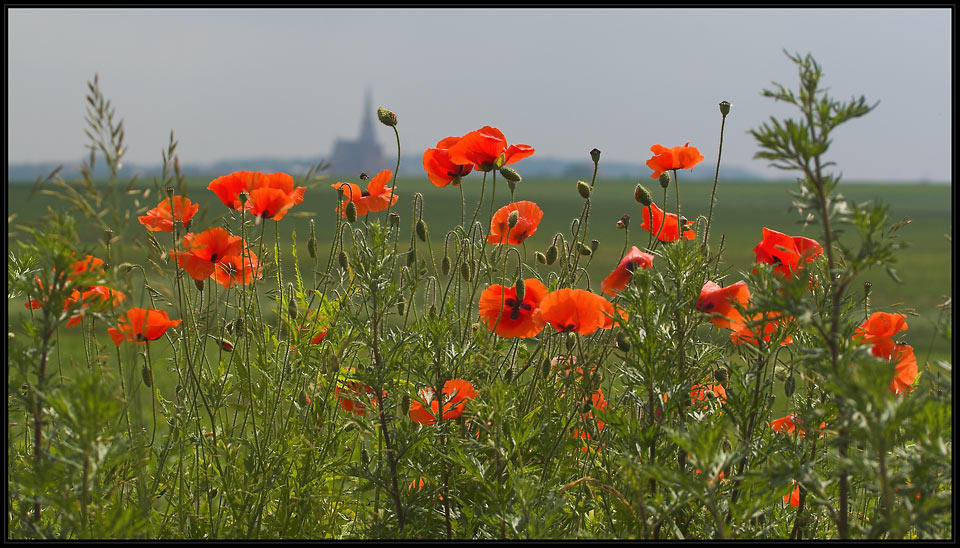 Sommer in Vorpommern