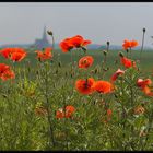 Sommer in Vorpommern