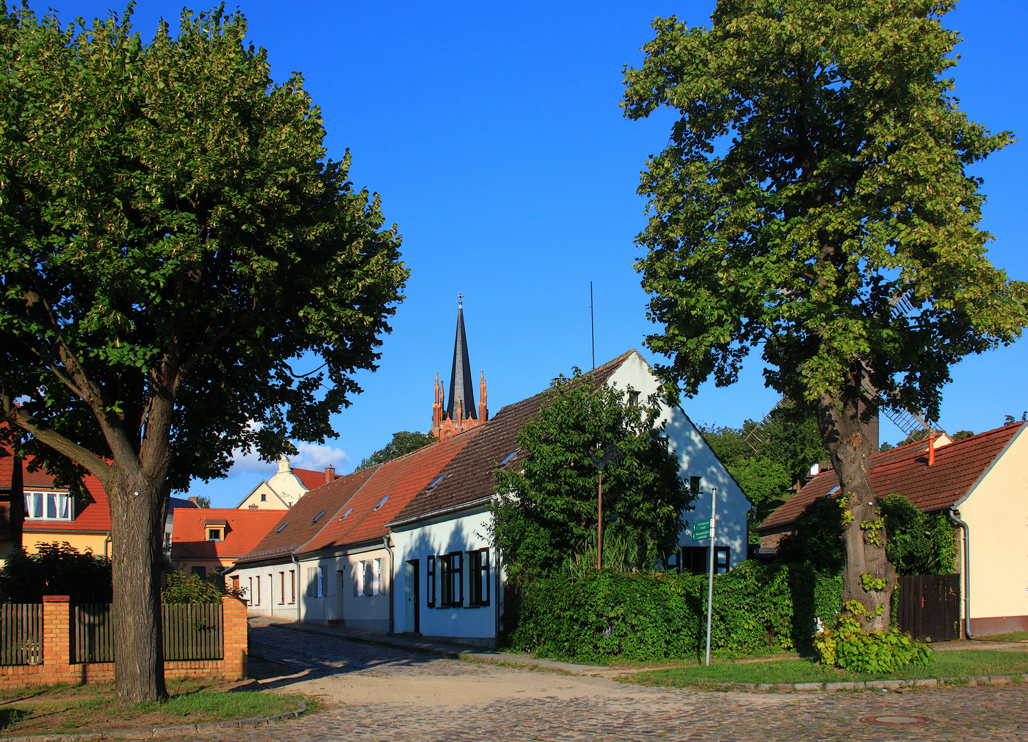 Sommer in Werder an der Havel 