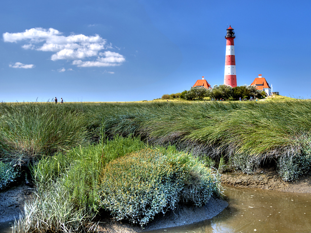 Sommer in Westerhever