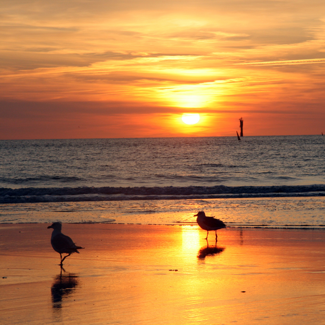 Sommer in Westerland