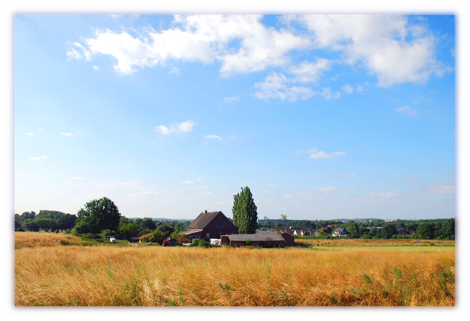 Sommer in Westfalen