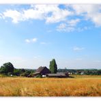 Sommer in Westfalen