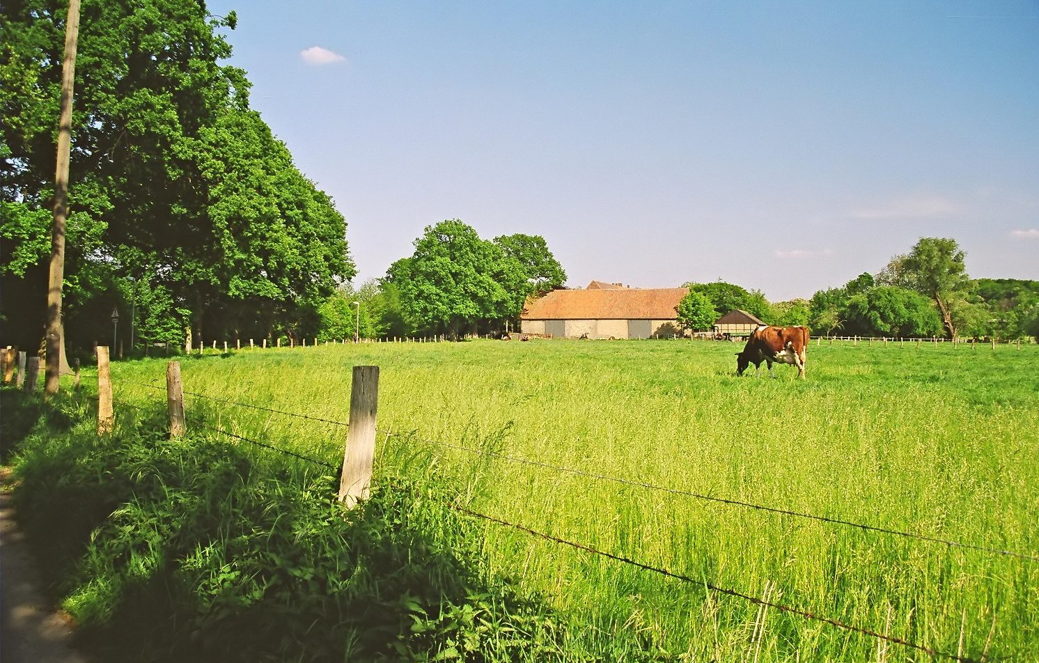 [Sommer in Westfalen]