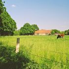 [Sommer in Westfalen]