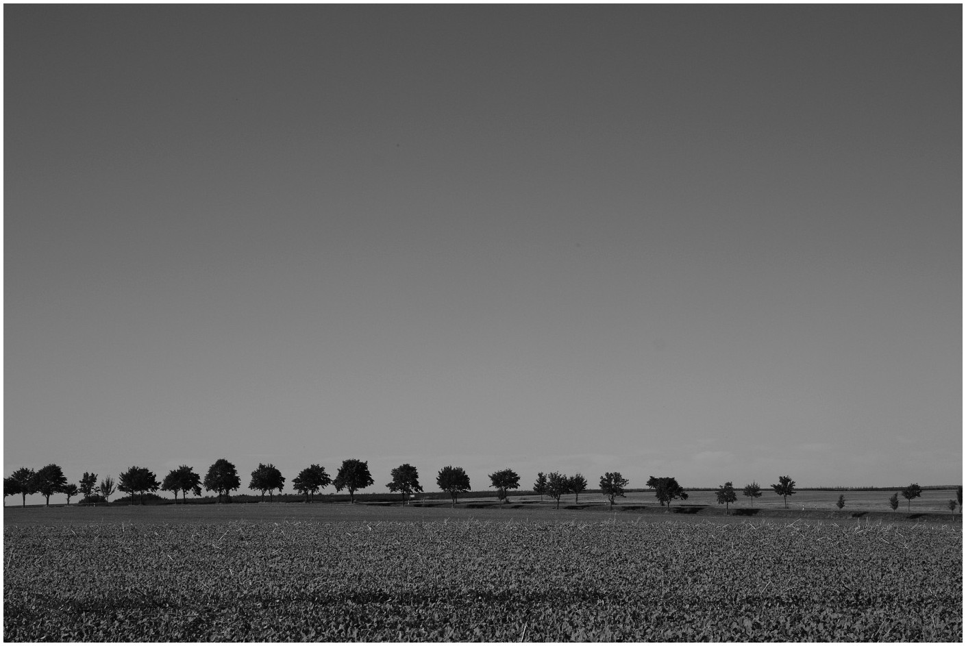 Sommer in Westsachsen (1)