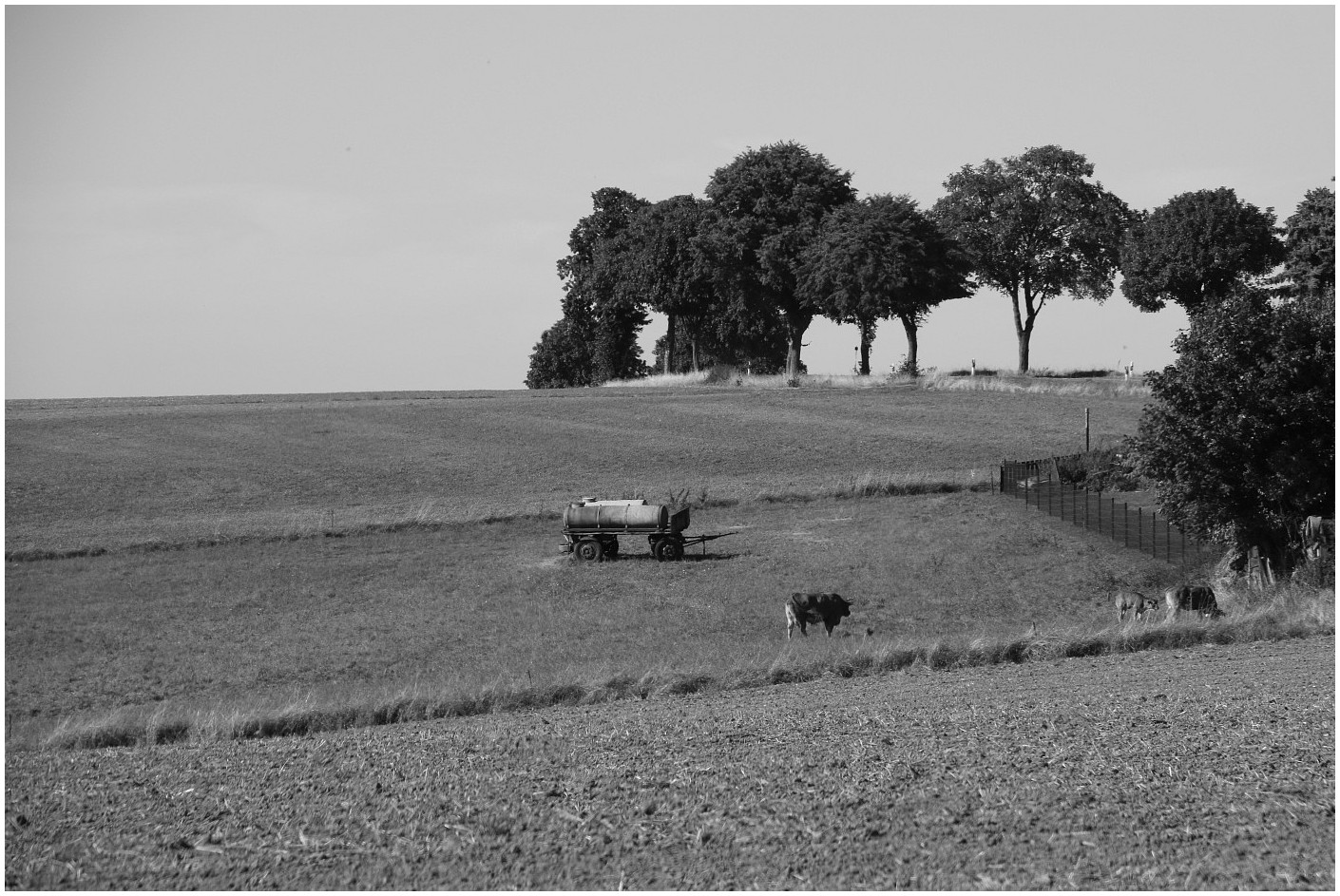 Sommer in Westsachsen (2)