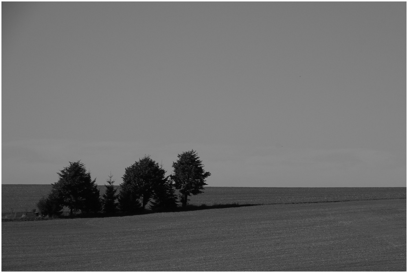 Sommer in Westsachsen (3)