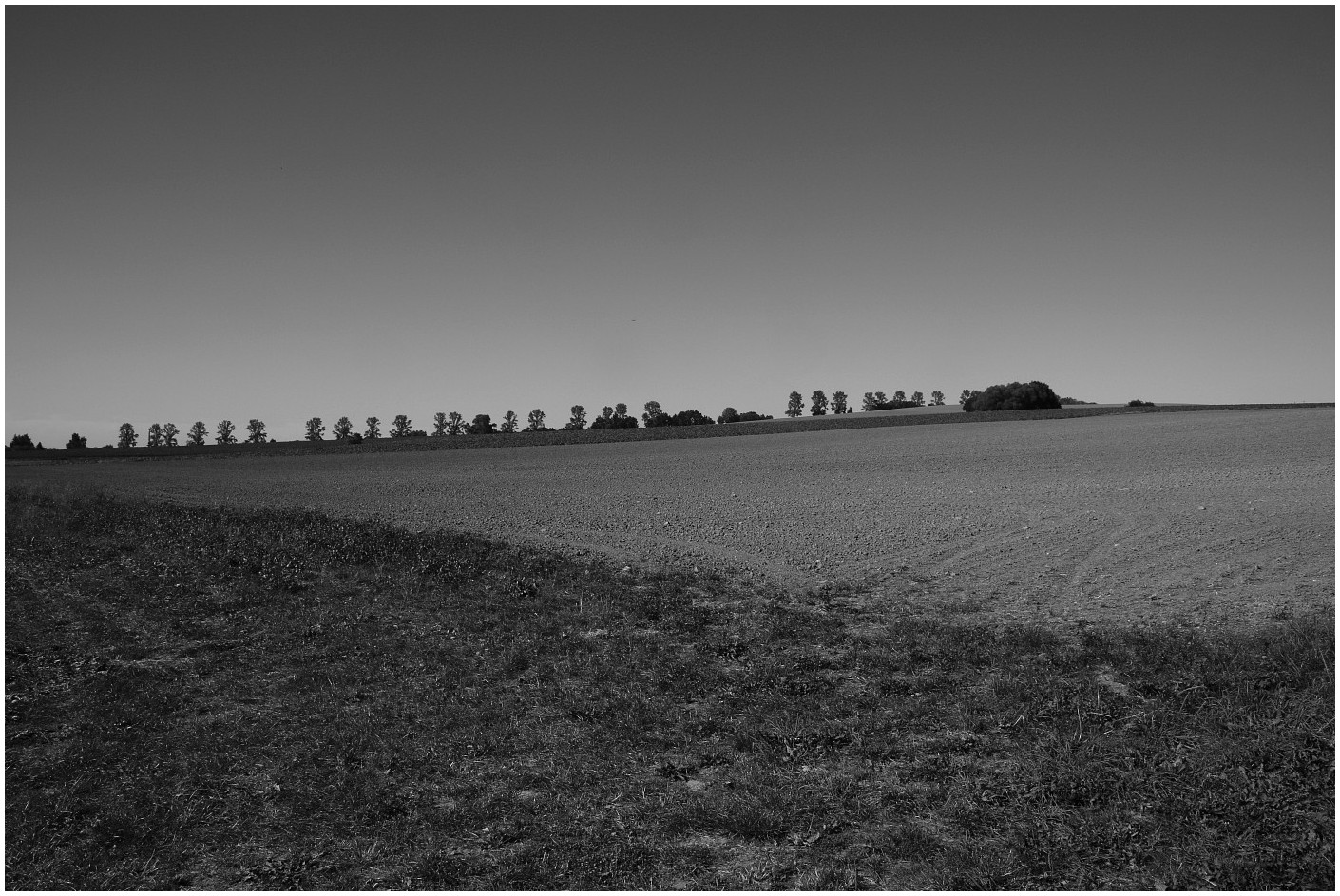 Sommer in Westsachsen (5)