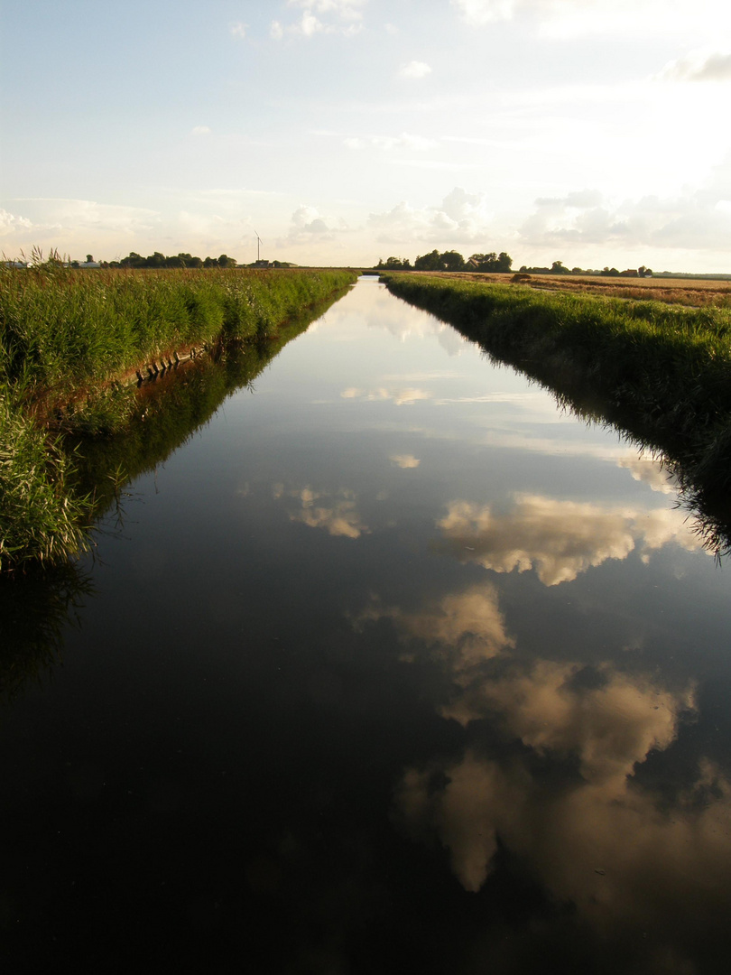 Sommer in Zeeland - Feldlandschaft bei Haamstede I