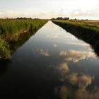 Sommer in Zeeland - Feldlandschaft bei Haamstede I