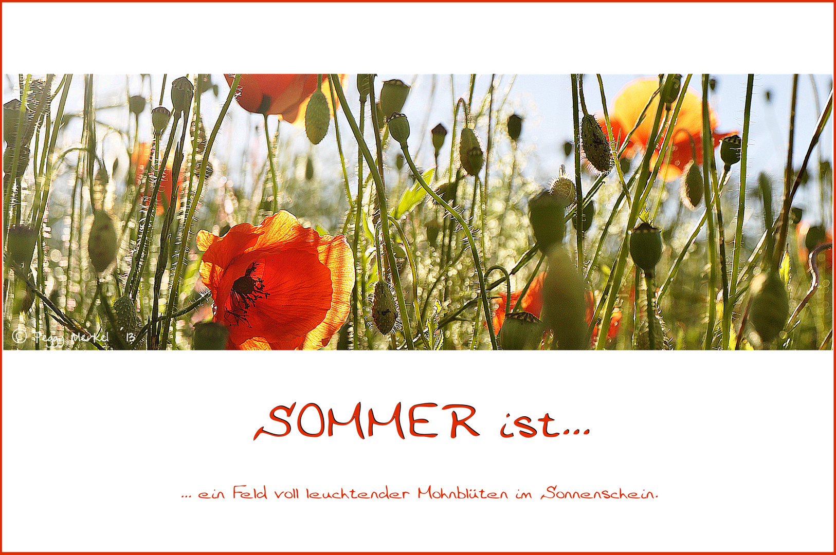 Sommer ist