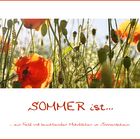 Sommer ist