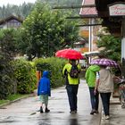 Sommer ist auch Scheiße