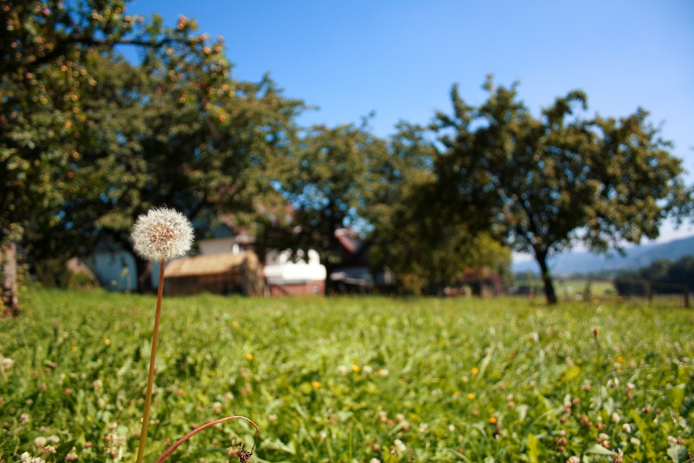 Sommer komm schnell wieder