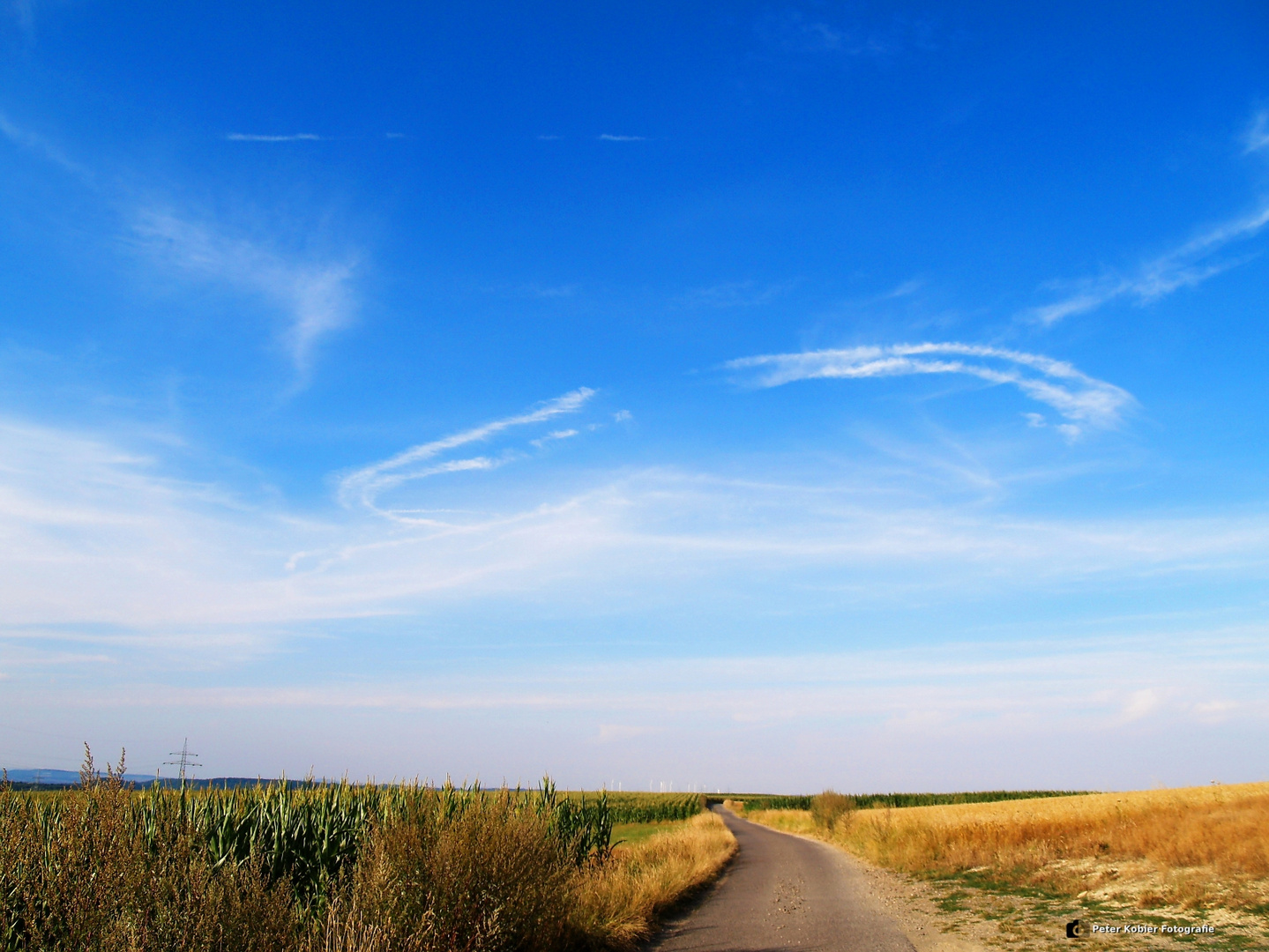 Sommer Landschaft