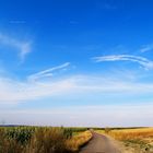 Sommer Landschaft