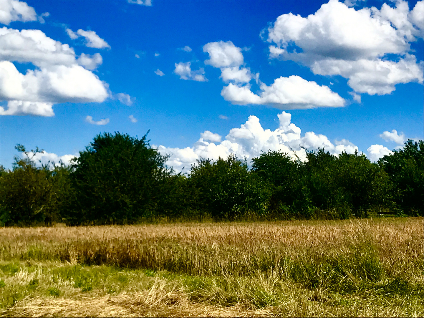 Sommer Landschaften 