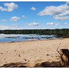 Sommer letztes Jahr in Sverige