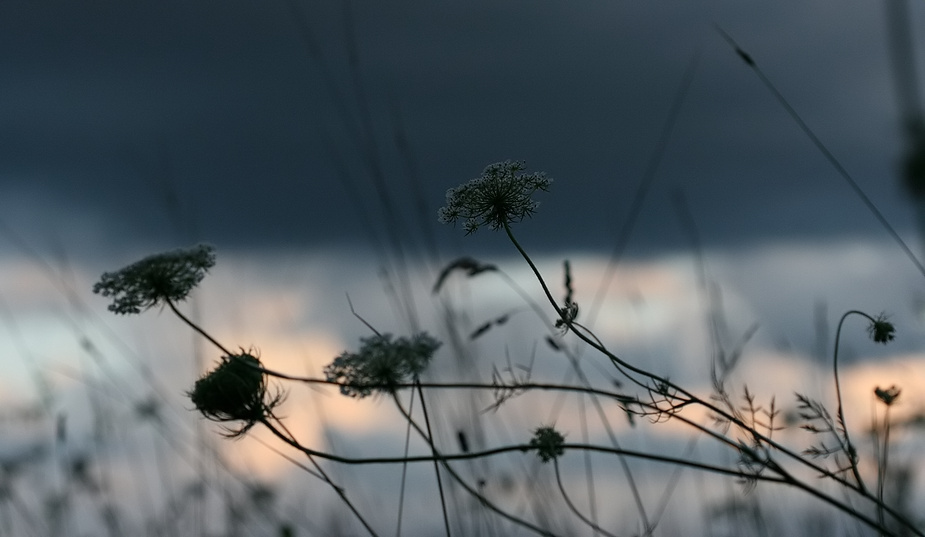 Sommer - Melancholie