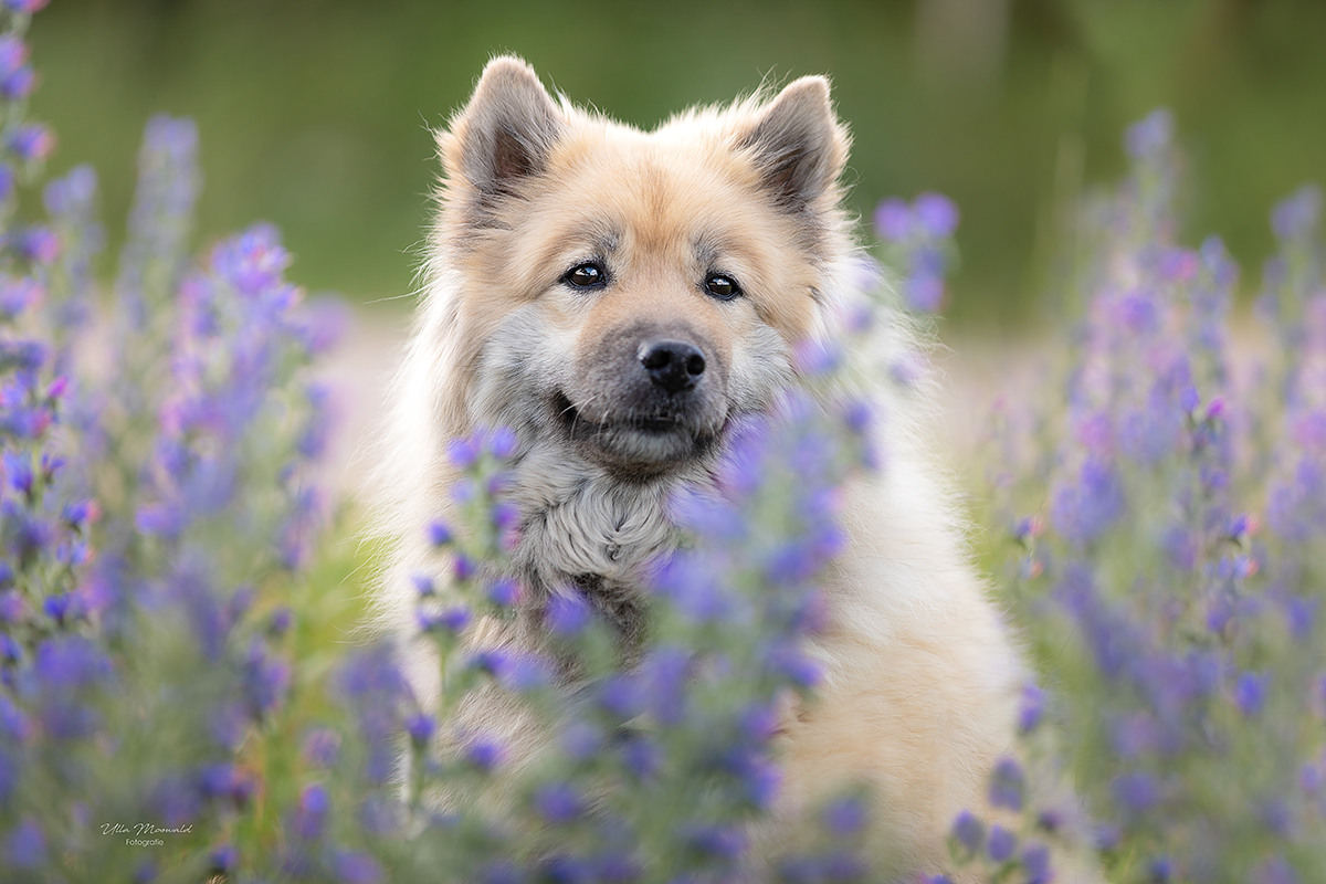 ...Sommer mit Nelly...