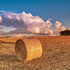 Sommer-nach der Ernte - Abendstimmung