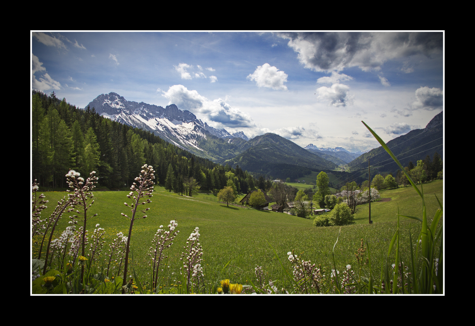 Sommer nach Winter