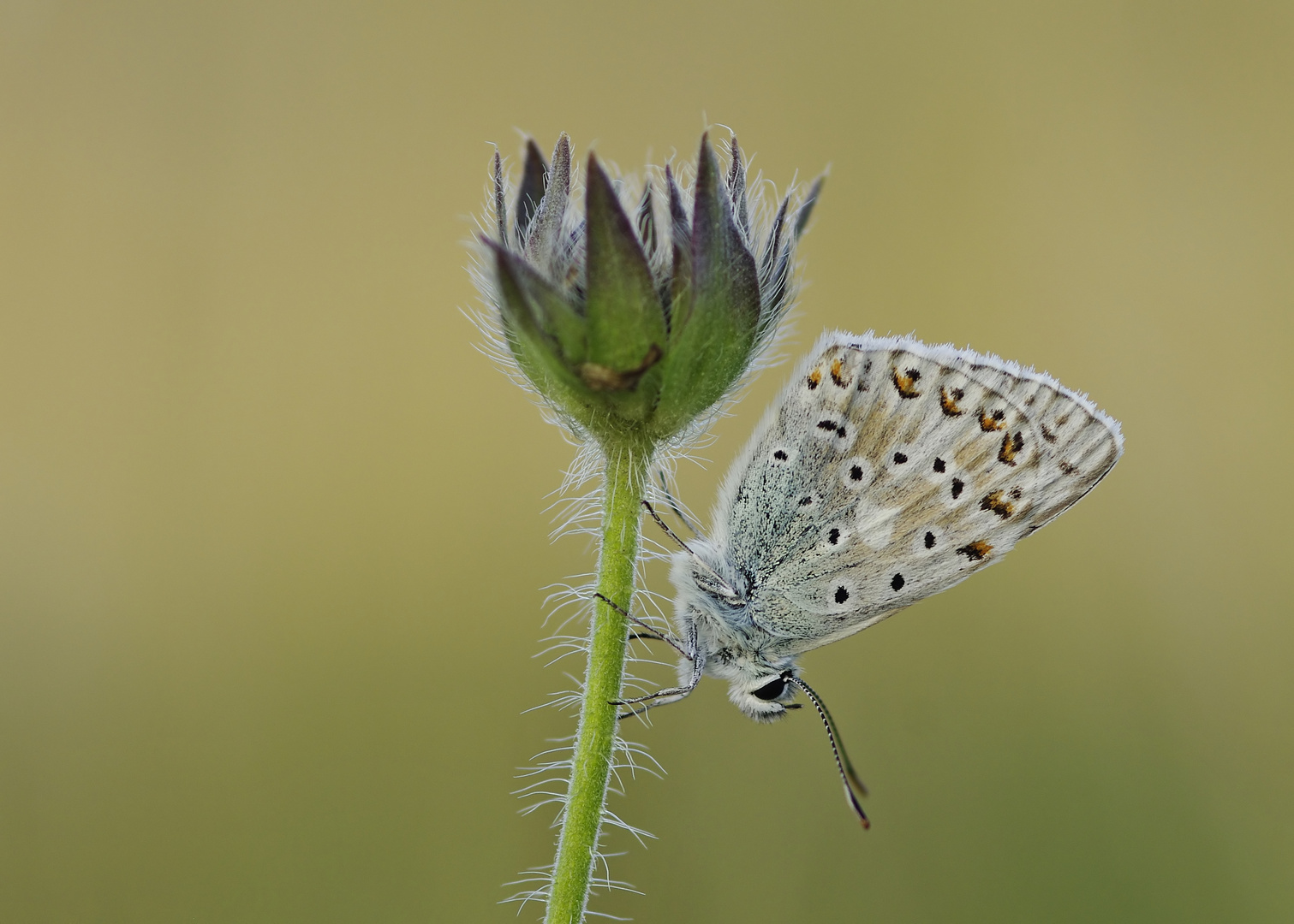 Sommer-Nachlese