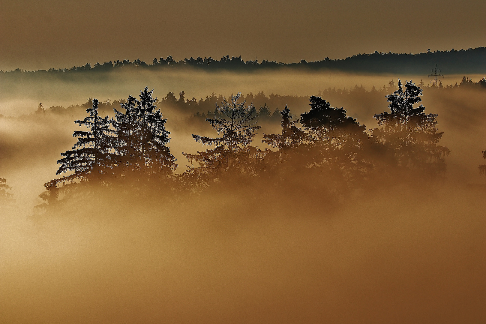 SOMMER-NEBEL-MORGEN/ 1