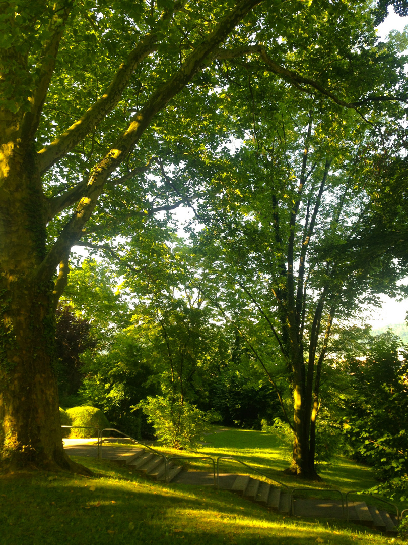 Sommer oder die Treppe im Park