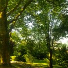 Sommer oder die Treppe im Park