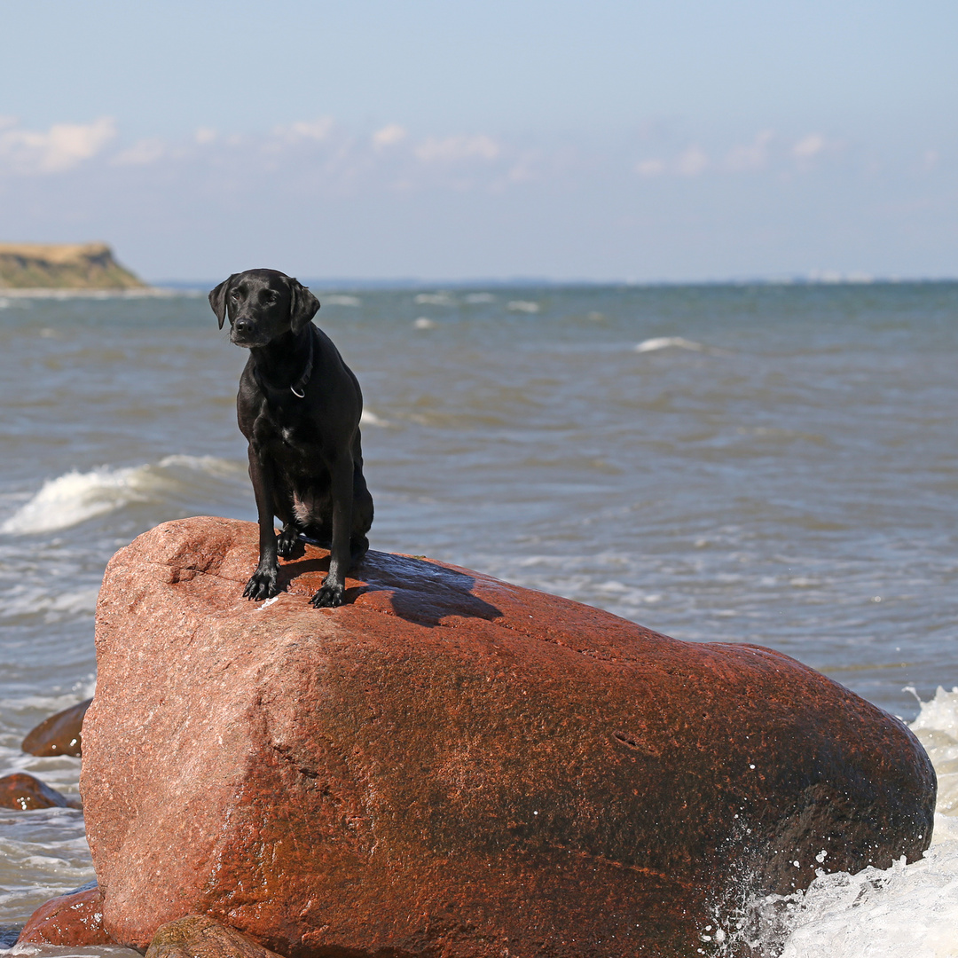 Sommer! Ostsee !!