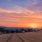 *Sommer - Panorama*