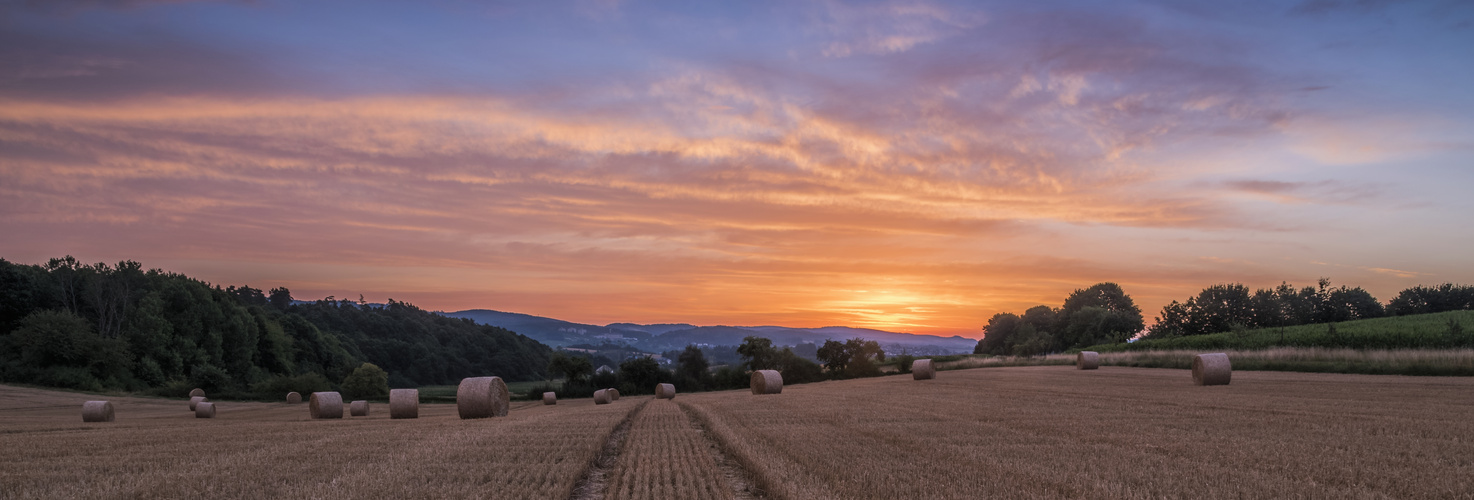 *Sommer - Panorama*