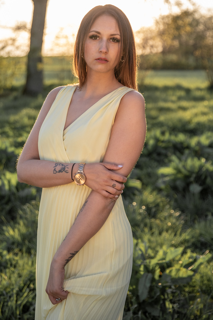 Sommer Portrait auf dem Feld