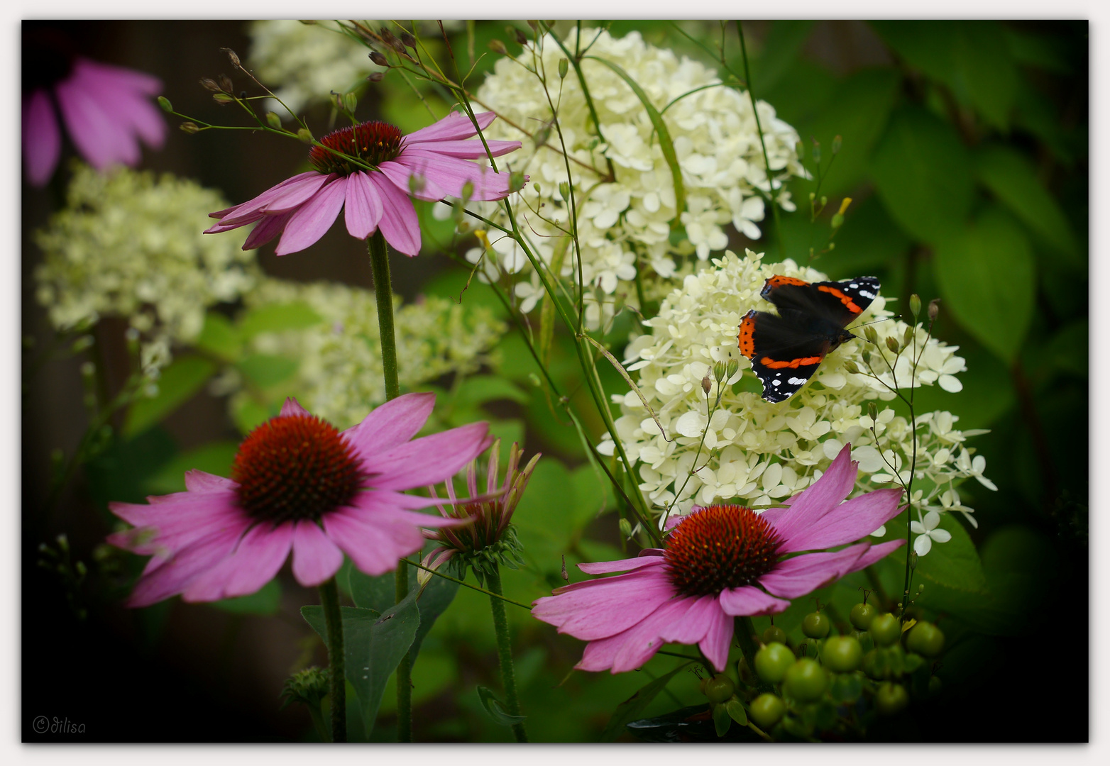 Sommer-Potpourri