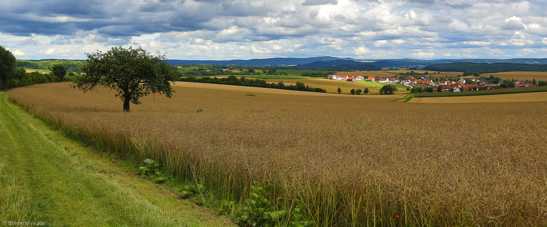 Sommer, punktuell