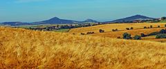 Sommer pur von der südwestlichen Flanke des Vrsetin...