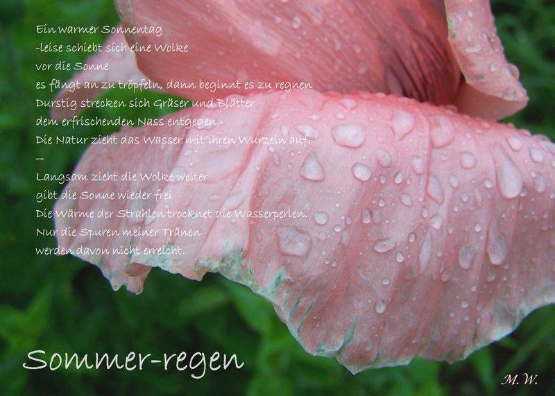 Sommer-regen