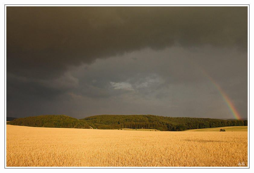 Sommer Regen