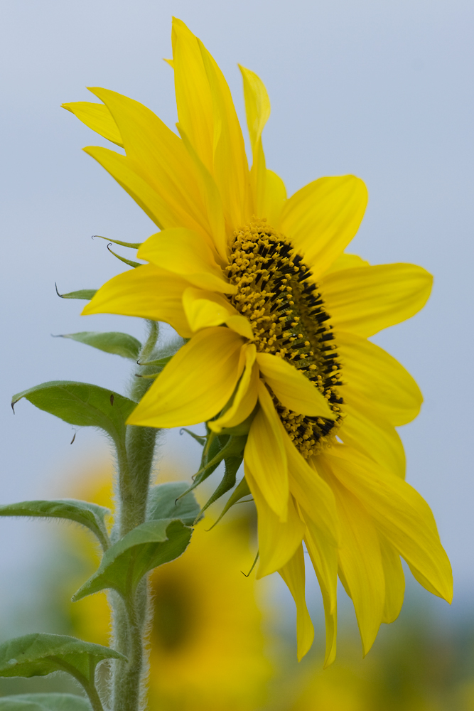 Sommer-Rückblick