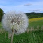 Sommer-rückblick