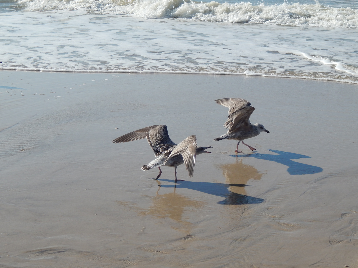 Sommer Sand u Meer