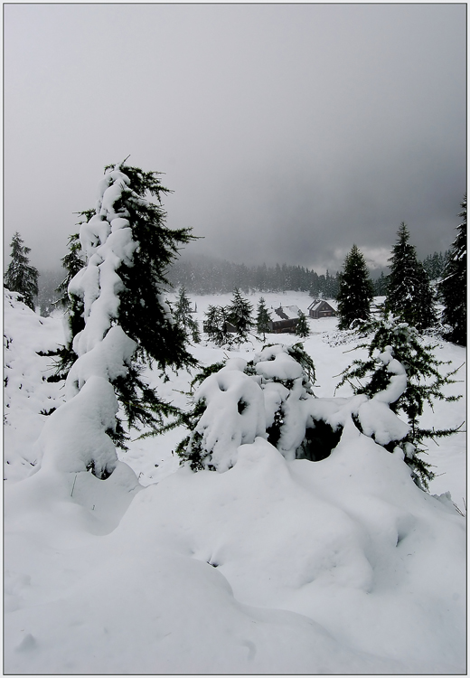 Sommer - Schneelandschaft